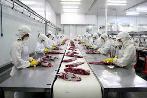 China autoriza exportações de 17 frigoríficos brasileiros
