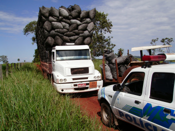 Estado reduz em 90% a TMF Estado reduz em 90% a TMF