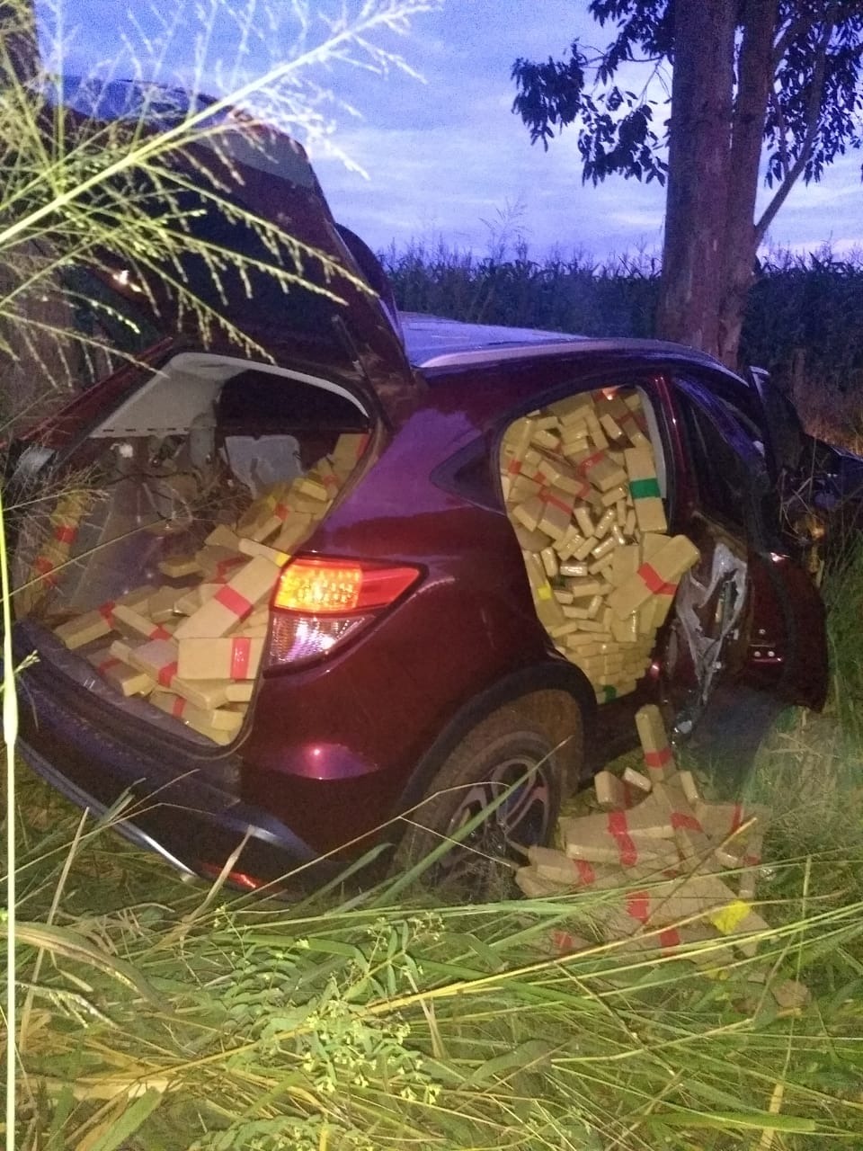 DOF apreende mais de uma tonelada de droga em Amambai O condutor do CRV perdeu o controle do veículo e colidiu com uma árvore