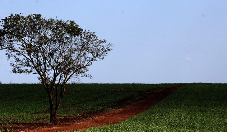 Chuva se mantém no centro-sul de MS e deixa temperaturas amenas nesta quarta Chuva se mantém no centro-sul de MS e deixa temperaturas amenas nesta quarta