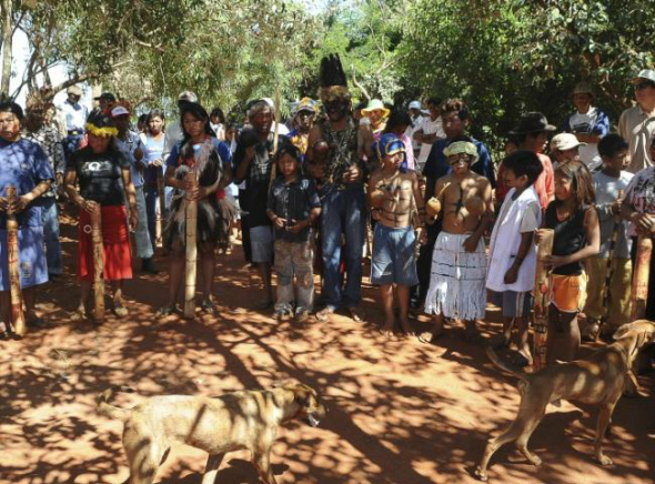 Deputados estaduais solicitam Força Nacional em região de conflito com índios Acampamento Kurusu Ambá em Coronel Sapucaia, zona de conflito entre índios e produtores rurais; (Arquivo Midiamax)