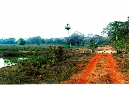 Produtores rurais de MS apontam caos nas estradas como maior problema do setor