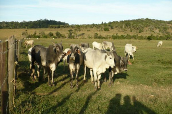 Prazo de pagamento da Contribuição Sindical Rural termina dia 31