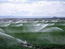 Agricultura consome 69% dos recursos hídricos Agricultura consome 69% dos recursos hídricos