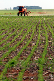 CMN reduz taxa de juros e amplia limite de crédito para agricultores CMN reduz taxa de juros e amplia limite de crédito para agricultores