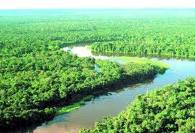 A fragmentação dos ecossistemas e a reforma do Código Florestal. A fragmentação dos ecossistemas e a reforma do Código Florestal.