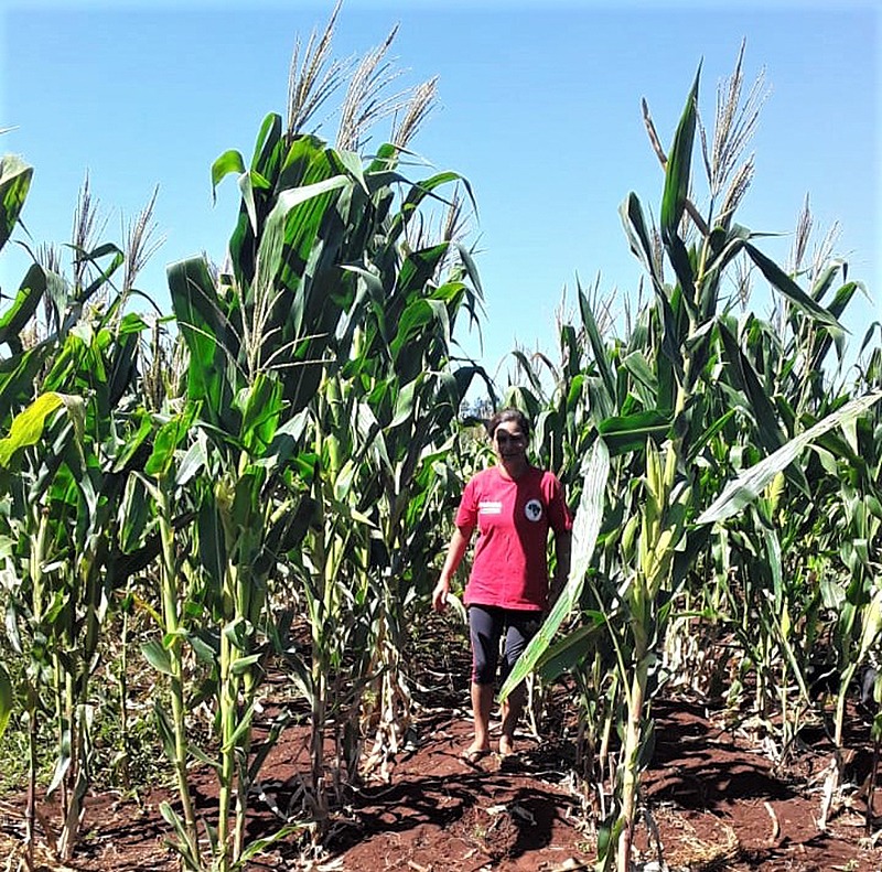 Emenda garante aquisição de produtos da agricultura familiar durante a pandemia Lucia Correia Richuiki é uma das agricultoras que colheu alimentos da roça e da horta para enviar às famílias da cidade - Arquivo MST