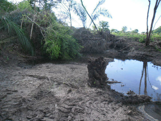 Dono de sitio é preso após destruir área de proteção permanente / Divulgação/PMA