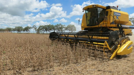 Chuva dá trégua e produtores aceleram colheita de soja em MS / Foto: Divulgação
