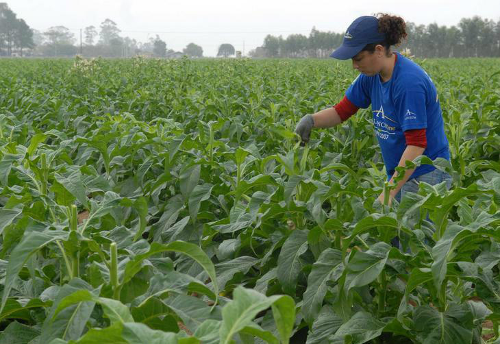 Índice de Preços ao Produtor aumenta para 1,65% em maio Índice de Preços ao Produtor aumenta para 1,65% em maio