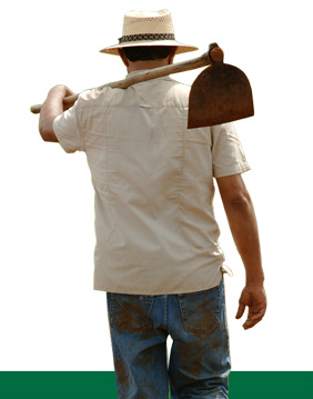 Governo quer criar agência para prestar assistência técnica a produtor rural