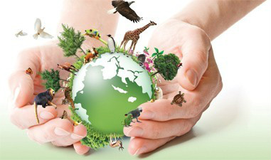 Plataforma brasileira permitirá diagnóstico sobre biodiversidade