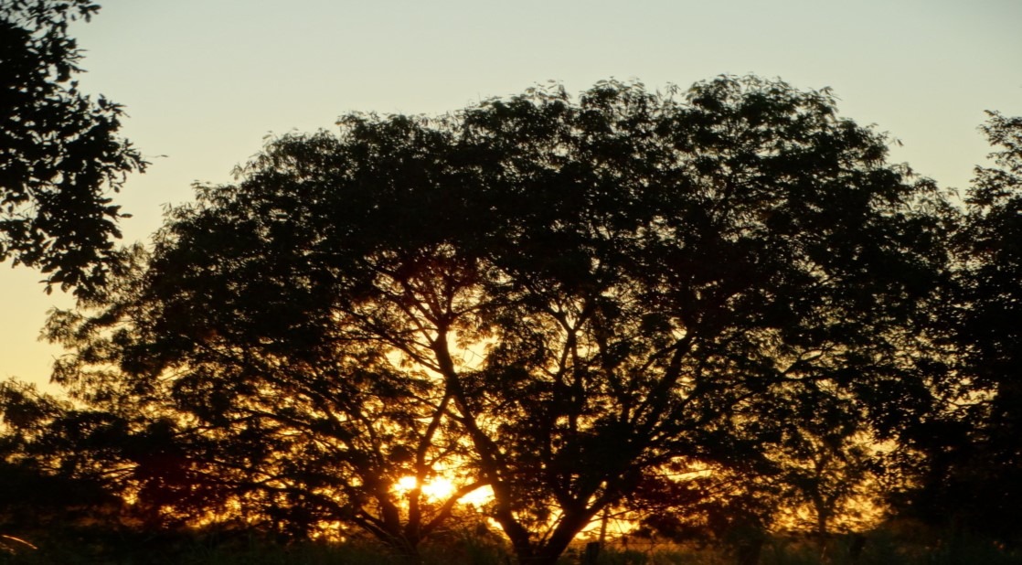 Sábado será nublado com máxima de 29°C Foto: Mônica Alves