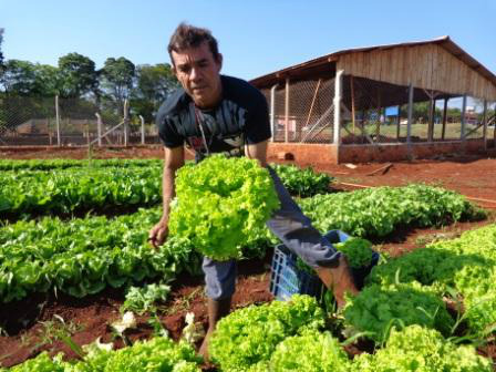 Congresso Brasileiro de Agroecologia é o principal evento científico em agroecologia