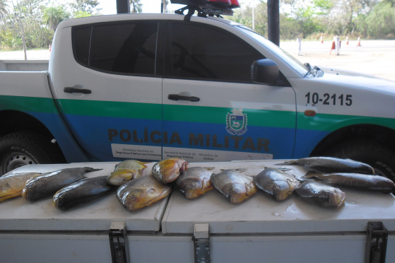 PMA prende fugitivo da justiça com peixes capturados fora da medida