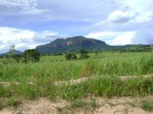 MS tem 8 milhões de hectares degradados