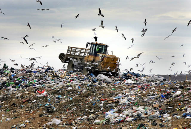 Reciclagem pode gerar R$ 8 bi em ganhos Reciclagem pode gerar R$ 8 bi em ganhos