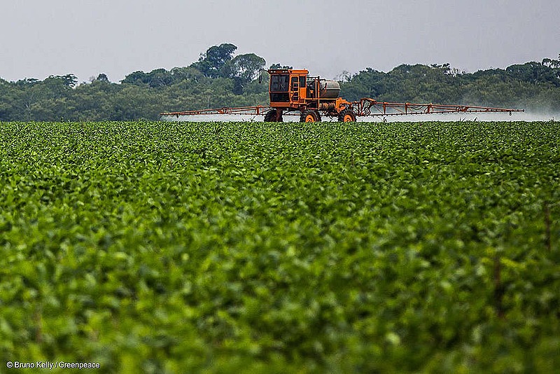 Empresas alemãs usam Brasil como “depósito” de agrotóxicos proibidos na Europa Mais da metade dos agrotóxicos vendidos ao Brasil por multinacionais como Bayer e Basf são classificados como extremamente perigosos na Europa - Foto: Bruno Kelly/Greenpeace