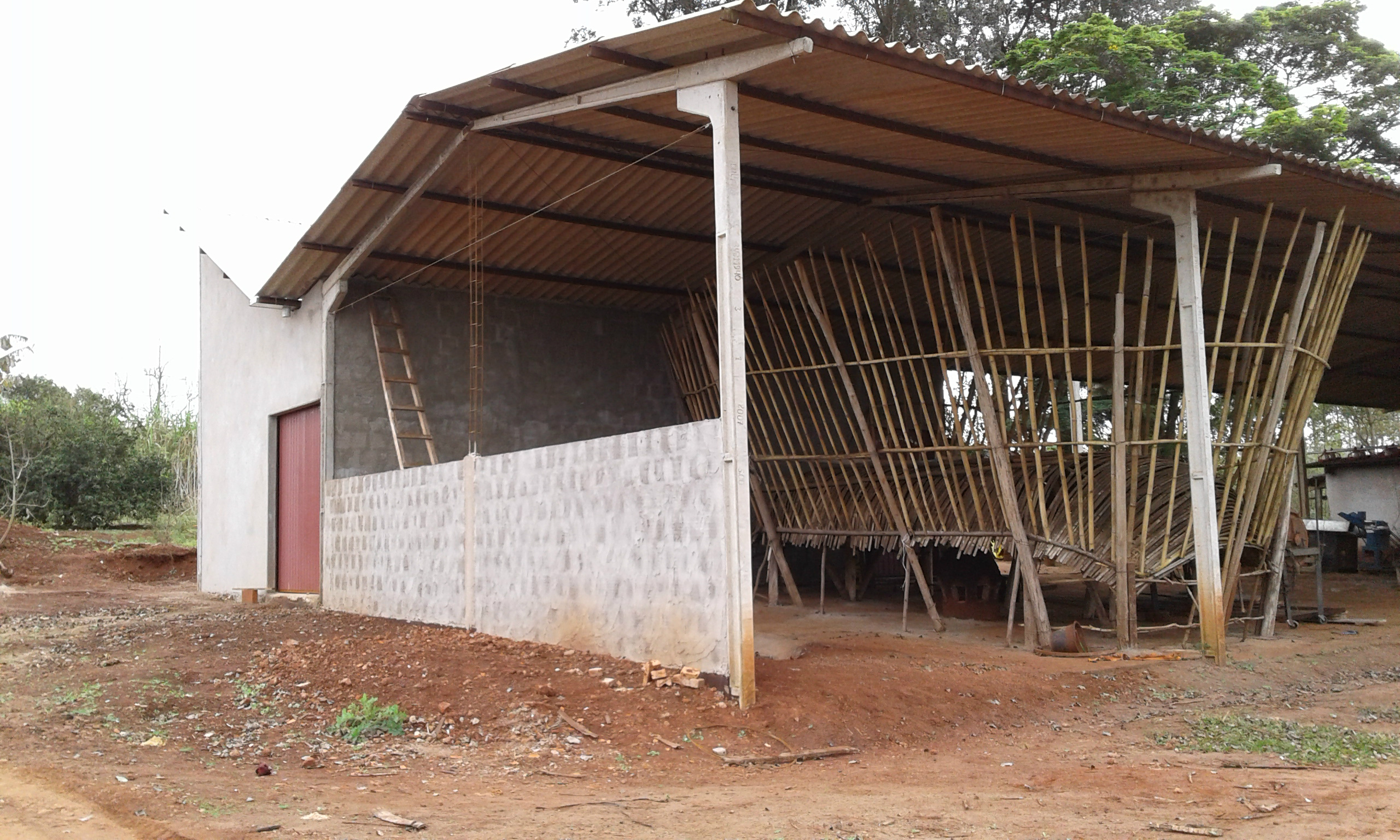 Em Amambai, produção de erva-mate resgata tradição e apresenta rentabilidade A Granja Boi de Bico é uma das poucas da região que produz erva-mate em escala comercial.