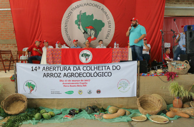 A estimativa para este ano é colher mais de 27 mil toneladas de arroz / Foto: Divulgação