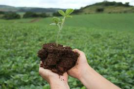 Criador de método de produção sustentável está no MS para capacitações