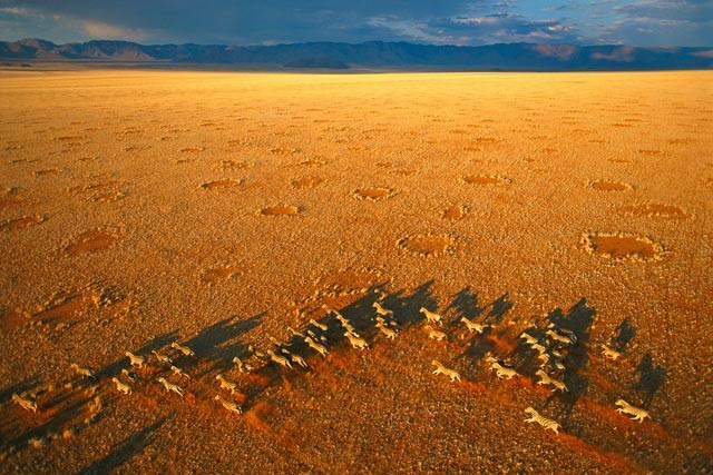 Círculos em que a vegetação não aparece são chamados de 'anéis de fadas' (Foto: Ann Scott/NamibRand Nature Reserve)