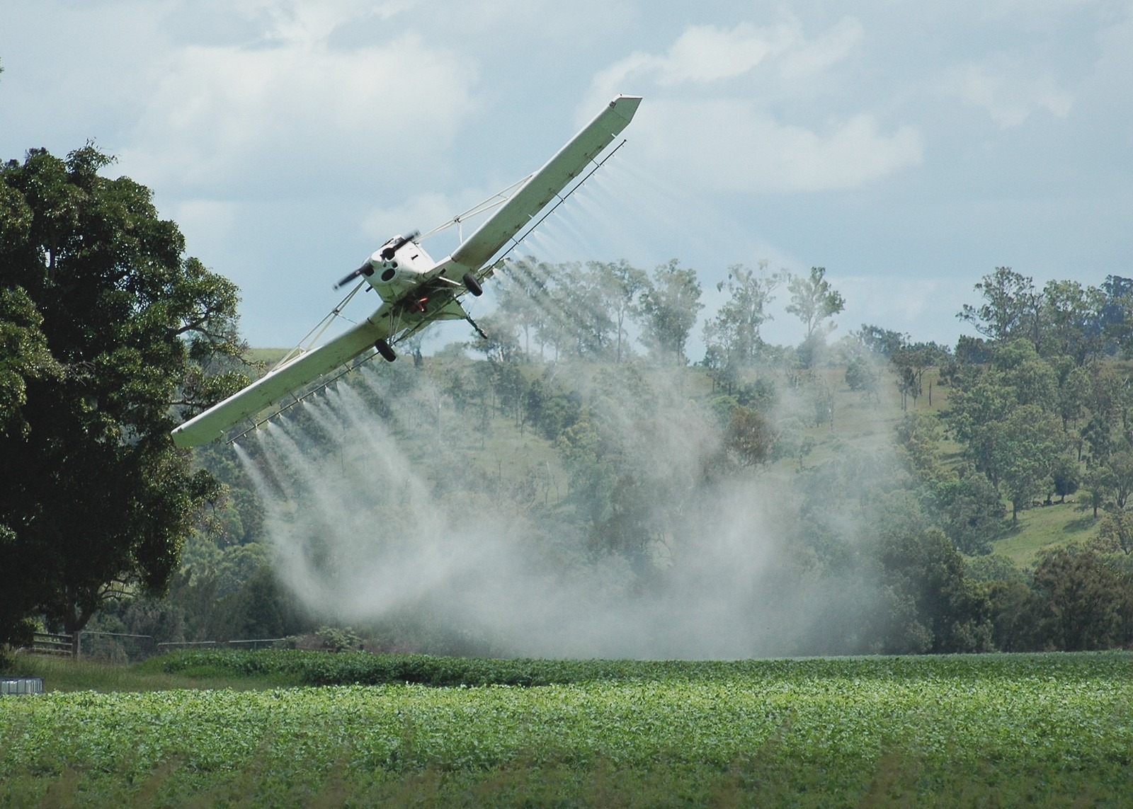 Em Amambai, maioria é contrária a liberação de mais agrotóxicos no Brasil Foto Ilustrativa