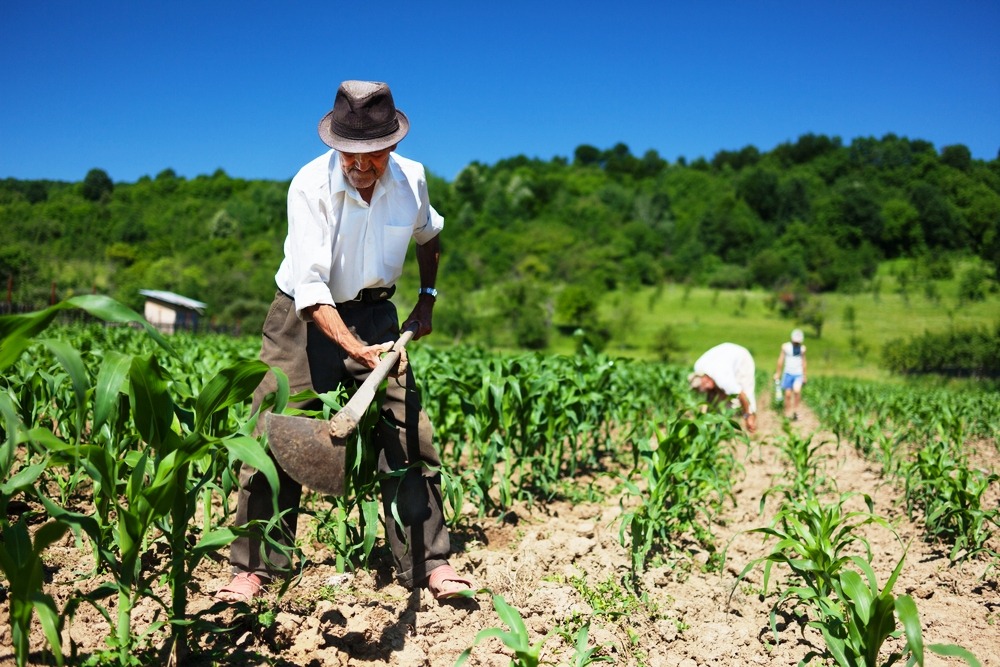 Vereador Dilmar quer garantir condições para que as familias que moram no assentamento rural Querência desenvolvam suas atividades / Foto:Ilustrativa/Pix Force