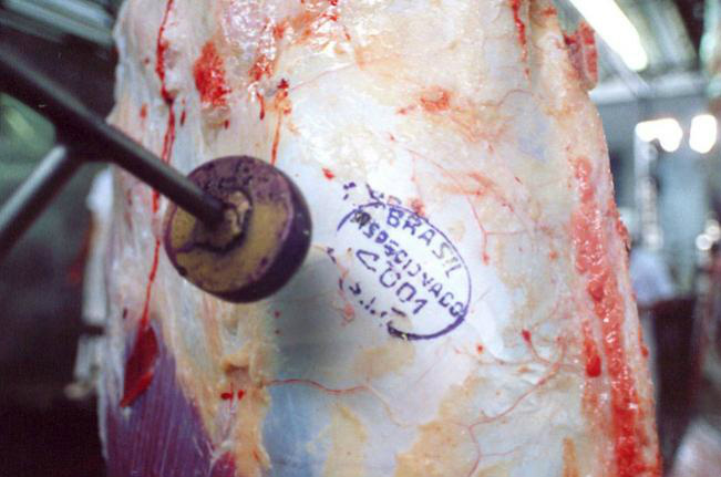Exportação de carne subiu 11,65% em 2011