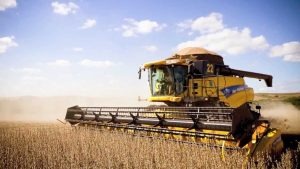Mato Grosso do Sul aumenta sua participação na produção agrícola do país