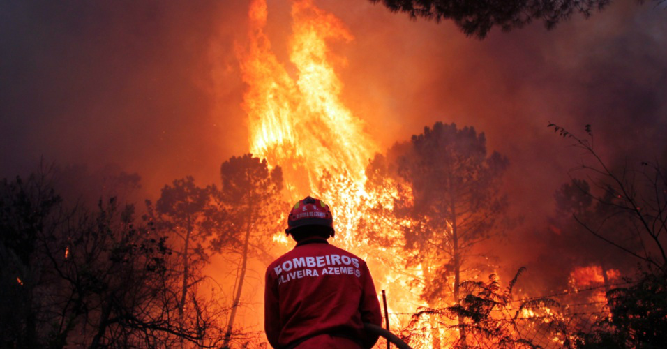 Após incêndios, Portugal se prepara para discutir reforma florestal Divulgação