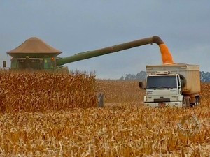 Plano Safra da Agricultura Familiar terá 20% mais recursos que em 2014 Plano Safra da Agricultura Familiar terá 20% mais recursos que em 2014