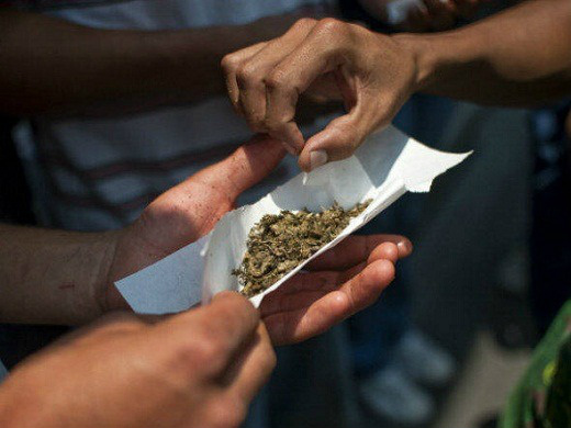 Uruguai fixa compra de maconha em 10 gramas por semana