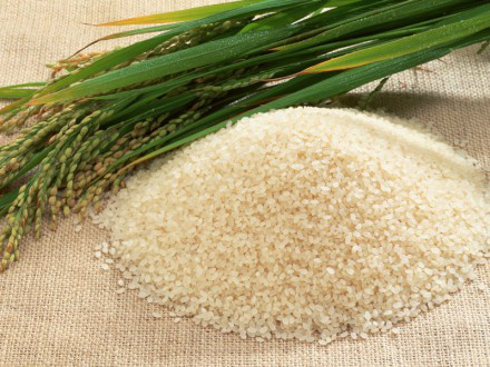 China será o maior importador de arroz em 2013/2014