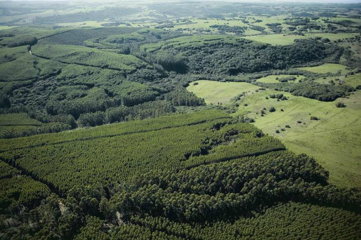 Regulamentação do Cadastro Ambiental Rural será publicada segunda-feira (5)