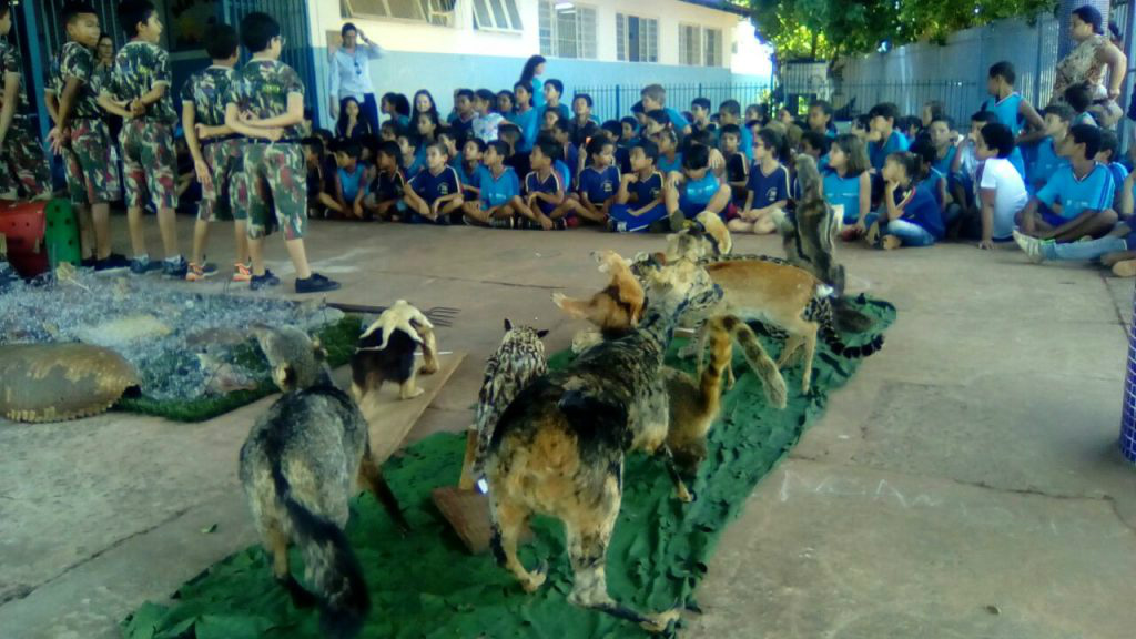 Animais empalhados fazem parte da conscientização do projeto Florestinha.