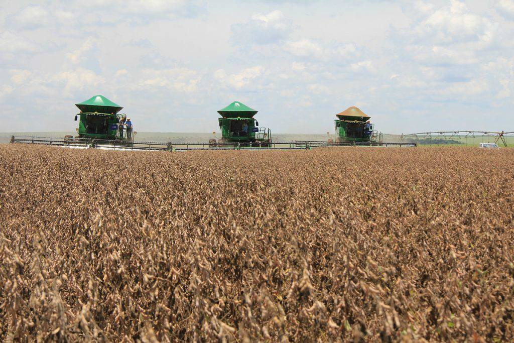 Em final de colheita, safra da soja tem escoamento normal com boas estradas em Mato Grosso do SulFoto: Divulgação 