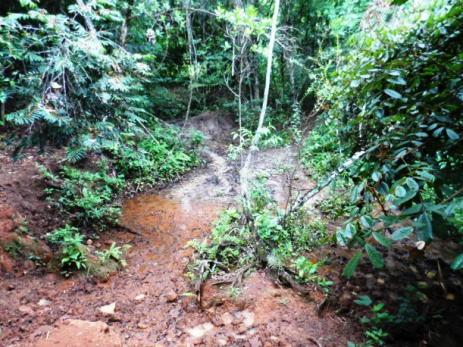 O proprietário rural foi notificado a retirar o gado até que cerque a área de nascente, bem como a corrigir os processos erosivos
