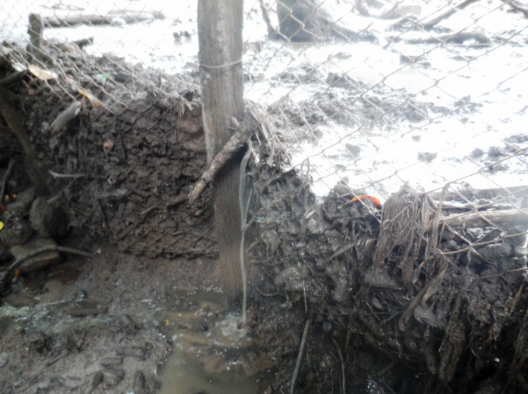 Foto dos dejetos sendo despejados no corrego