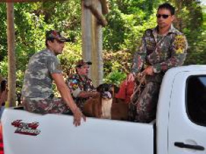 Equipes farão buscas na reserva do Parque dos Poderes e em matas próximas.