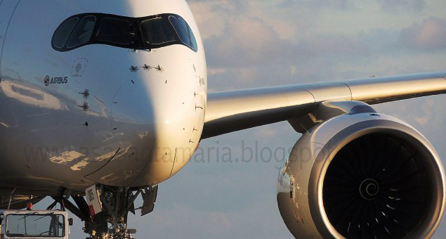 Companhias aéreas norte-americanas proíbem transporte de troféus de caça