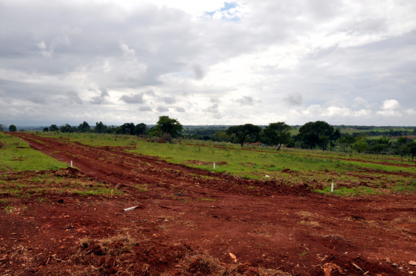 Área do Residencial dos Ipês.
