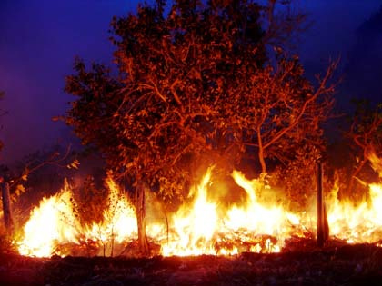 Ocorrências de incêndios estão menores, mas atenção deve permanecer