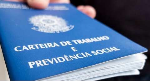 Criação de empregos ajudará a reduzir desigualdade Foto: Divulgação