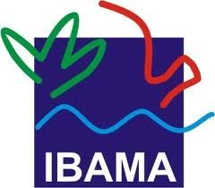 Ibama acha 'floresta fantasma' usada em fraude de madeireiras