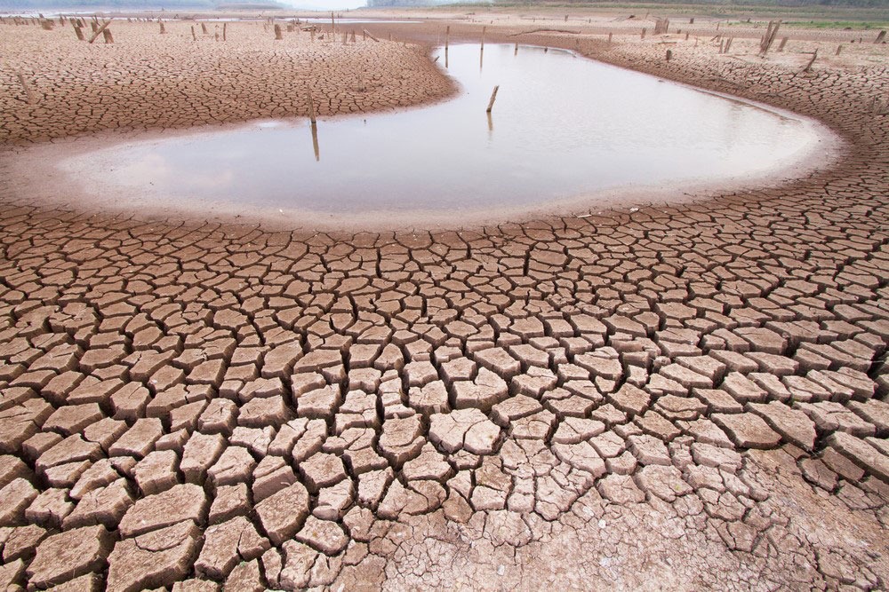 Seca e desertificação: urgências para o mundo Foto: Igui Ecologia