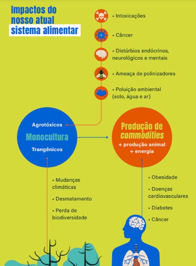 Biscoitos e bisnaguinhas contêm resíduos de ao menos nove agrotóxicos, diz Idec Idec mostra o padrão alimentar afeta o planeta. (Foto: Reprodução)