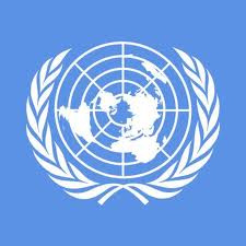 Representante brasileira na ONU diz que há má vontade da população contra presos