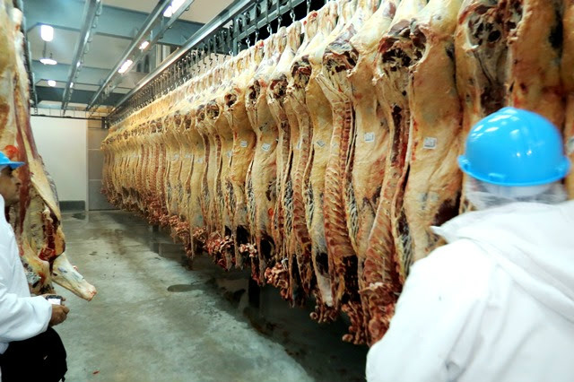 Número de frigoríficos em MS reduz 12% em 3 anos e preocupa setor produtivo