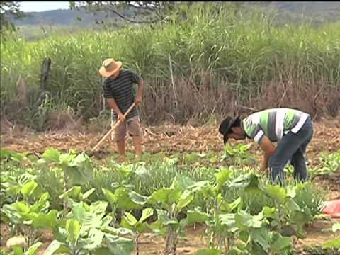 Governo federal destina mais 64 mil hectares para reforma agrária